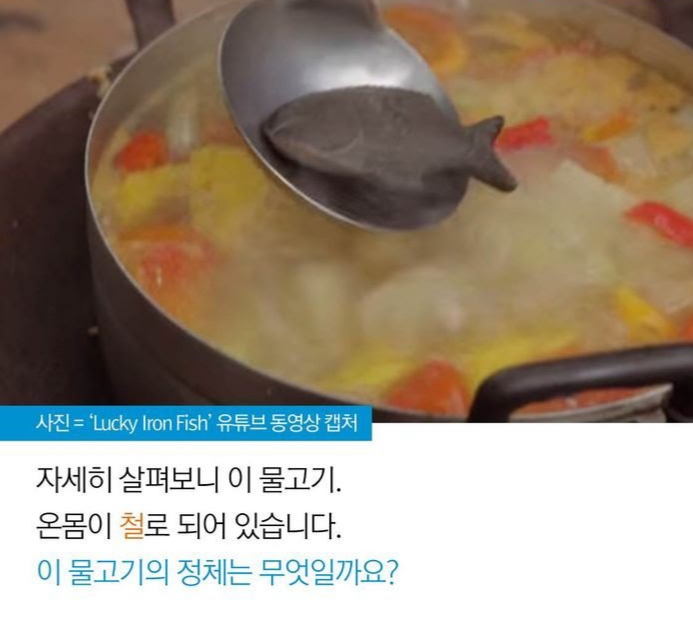 20191027_120743.jpg 캄보디아를 살린 행운의 철 물고기