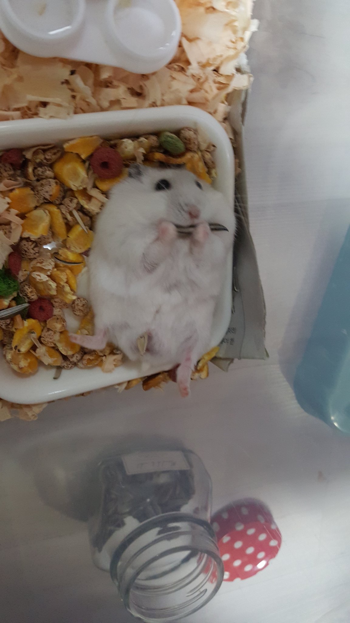 IMG_20171104_022131.jpg : 여긴... 천국? 여기는...혹시...천국?