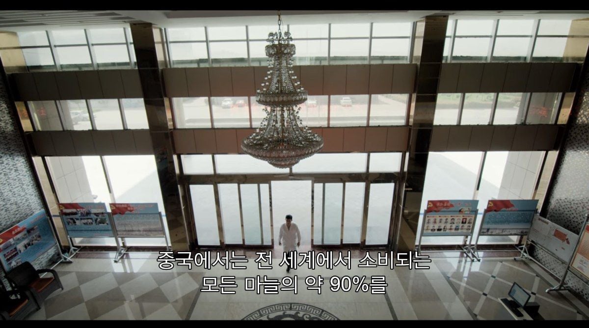 hJMkD 중국산 깐마늘이 저렴한 이유