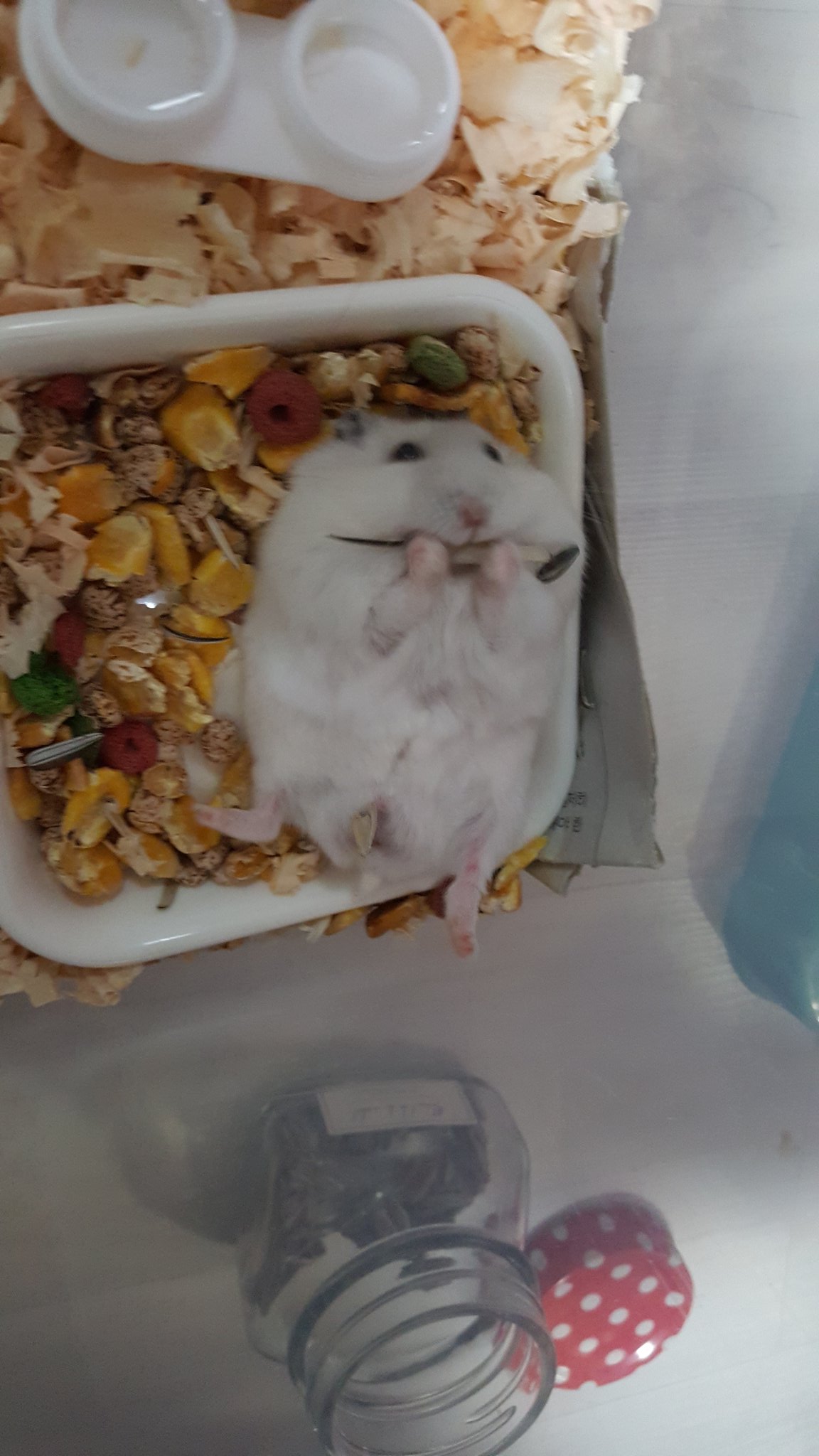 IMG_20171104_022132.jpg : 여긴... 천국? 여기는...혹시...천국?