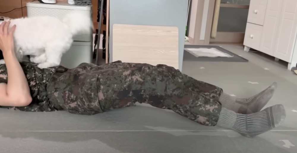 Internet_20230123_113544_45.png 군대간 오빠만 기다리던 강아지 근황 ㄷㄷㄷㄷ.....JPG