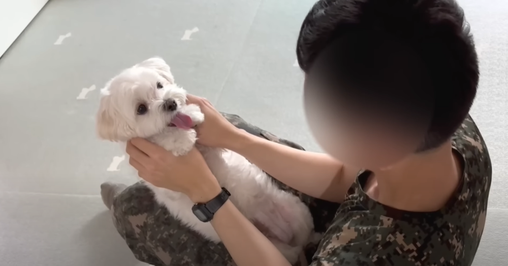 Internet_20230123_113544_32.png 군대간 오빠만 기다리던 강아지 근황 ㄷㄷㄷㄷ.....JPG