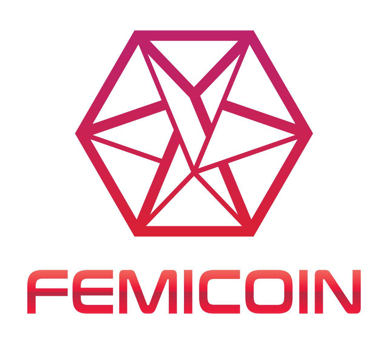 드디어 등장한 가상화폐 페미코인 - 유머/움짤/이슈 - 에펨코리아