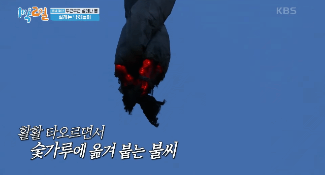한국 전통 불꽃놀이, 낙화놀이 근황 | 인스티즈 한국 전통 불꽃놀이, 낙화놀이 근황