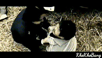 ì£¼ê´ì ì¸ íêµ­ ìí ìµê³ ì ì°ê¸° Top 10.gif