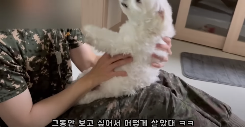 Internet_20230123_113544_26.png 군대간 오빠만 기다리던 강아지 근황 ㄷㄷㄷㄷ.....JPG