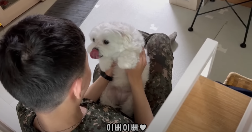 Internet_20230123_113544_28.png 군대간 오빠만 기다리던 강아지 근황 ㄷㄷㄷㄷ.....JPG