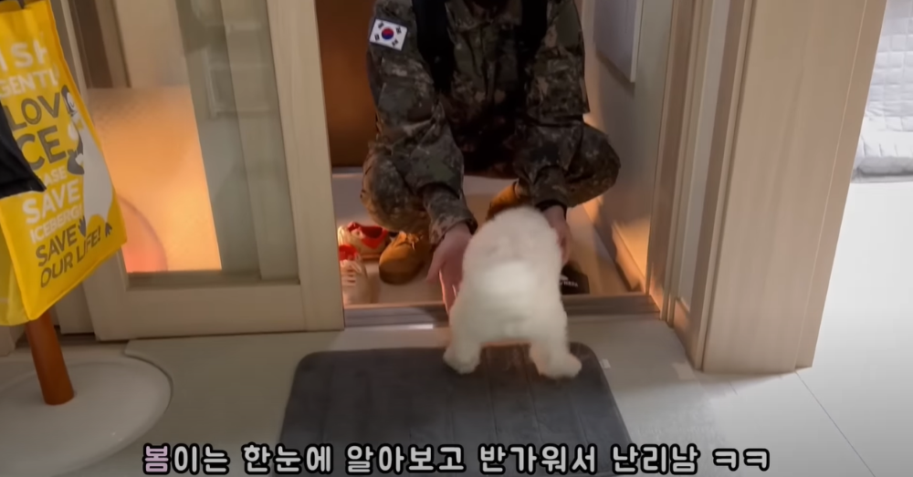 Internet_20230123_113544_11.png 군대간 오빠만 기다리던 강아지 근황 ㄷㄷㄷㄷ.....JPG