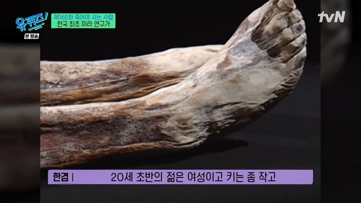 ZfpZm.jpg [유퀴즈] 한국 최초 미라 연구가가 직접 발굴했던 한국의 미라들