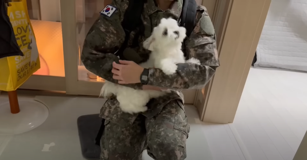 Internet_20230123_113544_17.png 군대간 오빠만 기다리던 강아지 근황 ㄷㄷㄷㄷ.....JPG