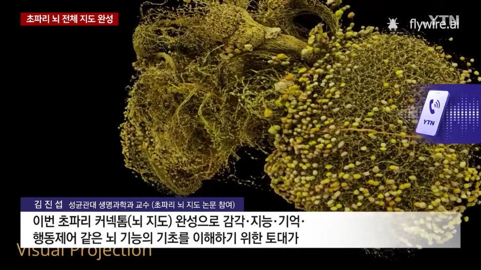 사람과 닮은 초파리 뇌.... 전체 지도 완성함 ㄷㄷ...jpg - 포텐 터짐 최신순 - 에펨코리아