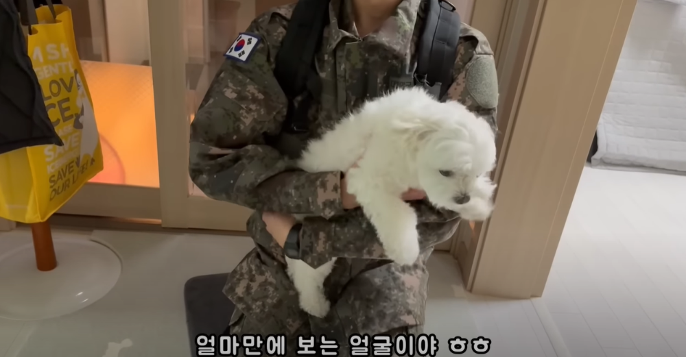 Internet_20230123_113544_18.png 군대간 오빠만 기다리던 강아지 근황 ㄷㄷㄷㄷ.....JPG